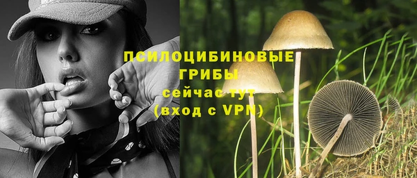 прущая мука Навашино