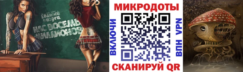 mega tor Салаир Псилоцибиновые грибы Psilocybine cubensis где продают